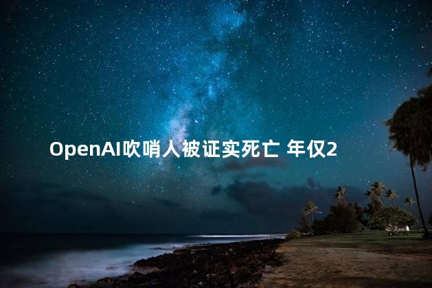 OpenAI吹哨人被证实死亡 年仅26岁